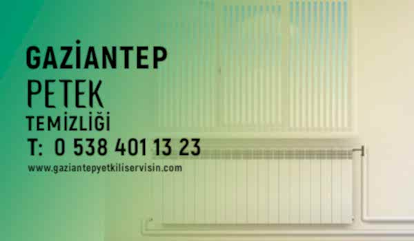 Gaziantep Petek Temizleme